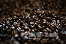 Ảnh minh họa. (Nguồn: AFP/TTXVN)