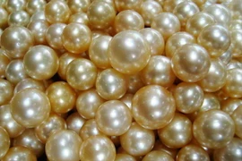 Indonesia sản xuất tới 50% sản lượng ngọc trai thế giới 