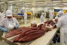 Triển vọng mở rộng thị trường xuất khẩu thủy hải sản Việt Nam
