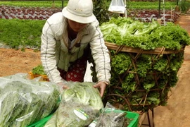 Thành phố Hồ Chí Minh: Thực phẩm tươi sống tăng giá đột biến