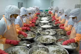 Doanh nghiệp ngoại đẩy mạnh xúc tiến thương mại tại Việt Nam