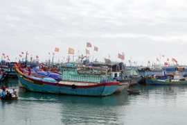 Quảng Nam thành lập thêm nghiệp đoàn nghề cá xã Tam Giang