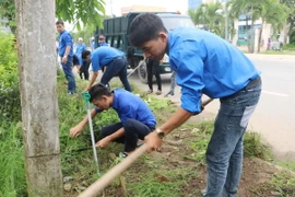 (Ảnh minh họa: Hoài Thu/TTXVN)