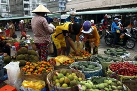 (Ảnh minh họa: Kim Há/TTXVN)