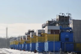 Khu dự trữ khí đốt Dashava gần thị trấn Stryi, miền tây Ukraine ngày 14/2. (Nguồn: EPA/TTXVN)