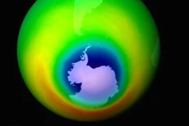 Ảnh minh họa. (Nguồn: news.com.au)