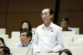 Đại biểu Quốc hội Thành phố Hồ Chí Minh Trần Hoàng Ngân phát biểu ý kiến. (Ảnh: Văn Điệp/TTXVN)