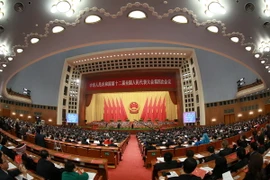 Ảnh minh họa. (Nguồn: THX/TTXVN)