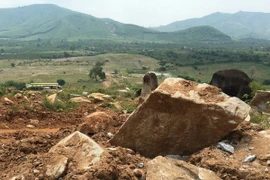 (Ảnh minh họa: Dương Giang/TTXVN)