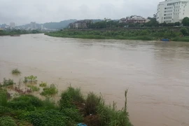 (Ảnh minh họa: Hương Thu/TTXVN)