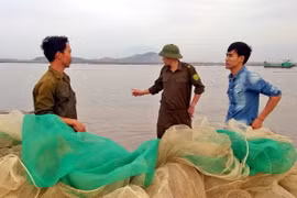 (Ảnh minh họa: Nguyễn Hoàng/TTXVN)