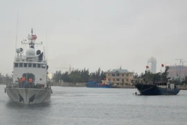 (Ảnh minh họa: Đinh Văn Nhiều/TTXVN)