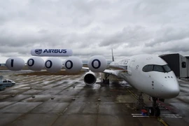 Máy bay của Tập đoàn Airbus tại Colomiers, Pháp. (Nguồn: AFP/TTXVN)