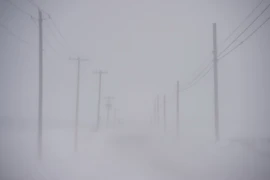 Tuyết rơi mù mịt khi bão tuyết tràn vào Ephrata, bang Pennsylvania (Mỹ) ngày 14/3. (Nguồn: AFP/TTXVN)