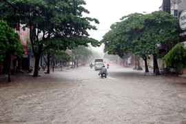 Ảnh minh họa. (Ảnh: Quân Trang/TTXVN) 