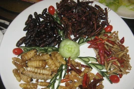 Ảnh minh họa. (Nguồn: nydailynews.com)