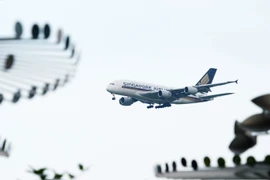 (Nguồn: THX/TTXVN)