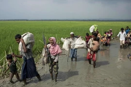 Người Myanmar ở bang Rakhine rời bỏ nhà cửa tránh xung đột tới khu vực biên giới gần thị trấn Teknaf, Bangladesh ngày 5/9. (Nguồn: AFP/TTXVN)