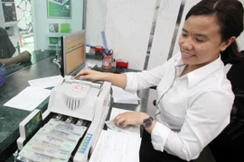 Ảnh minh họa. (Nguồn: Trần Việt/TTXVN)