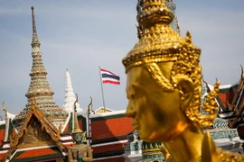 Ảnh minh họa. (Nguồn: EPA/TTXVN)