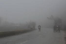 Ảnh minh họa. (Nguồn: TTXVN)