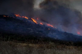 Khói lửa bốc lên từ đám cháy rừng ở Ensenada, bang Baja California, Mexico ngày 2/9. (Nguồn: EPA/TTXVN)
