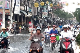 Ảnh minh họa. (Ảnh: Huỳnh Sử/TTXVN)