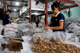 Chi phí sản xuất cạnh tranh là một trong những yếu tố khiến Việt Nam hấp dẫn các nhà đầu tư châu Âu. (Ảnh: An Hiếu/TTXVN)