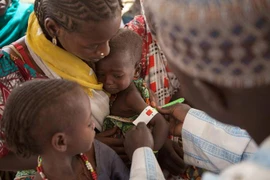 Nhân viên y tế khám chữa bệnh cho trẻ em bị suy dinh dưỡng ở Dikwa, Nigeria. (Nguồn: AFP/TTXVN)