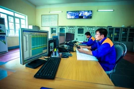 Ảnh minh họa. (Nguồn: TTXVN)