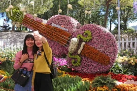 Một tác phẩm bằng hoa tươi độc đáo tại Festival hoa Đà Lạt. (Ảnh: Nguyễn Dũng/TTXVN)