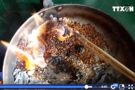 [Video] Nghi vấn gạo giả cấp phát cho người dân vùng lũ Quảng Ngãi
