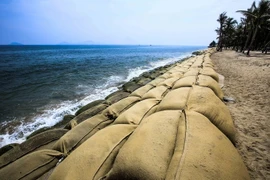 Người dân dựng tạm con đê bằng bao cát để chắn sóng, hạn chế sự xâm lấn của biển dọc theo dải bờ biển Cửa Đại. (Ảnh: Trọng Đạt/TTXVN)