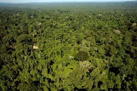 Toàn cảnh một khu bảo tồn thiên nhiên trong rừng Amazon, bang Para, Brazil ngày 4/12/2011. (Nguồn: AFP/TTXVN)