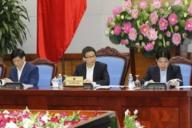 Phó Thủ tướng Vũ Đức Đam phát biểu. (Ảnh: TTXVN)