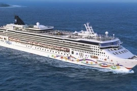 (Nguồn: stuff.co.nz)