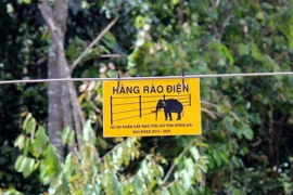 Hàng rào điện có chiều dài 50km nhằm ngăn voi rừng vào phá nương rẫy của người dân. (Ảnh: Sỹ Tuyên/TTXVN)