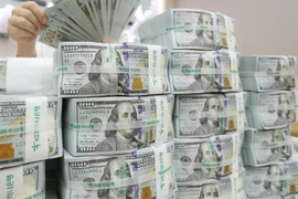 (Nguồn: EPA/TTXVN)