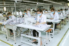 Ảnh minh họa. (Nguồn: TTXVN)