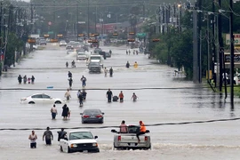  Cảnh ngập lụt do mưa lớn sau bão Harvey tại Houston, bang Texas ngày 27/8. (Nguồn: AFP/TTXVN)
