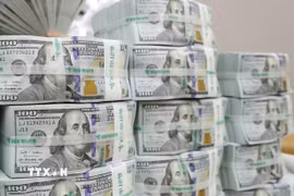 Đồng USD. (Ảnh: AFP/TTXVN)