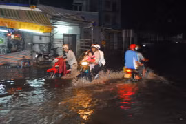 (Ảnh: Mạnh Linh/TTXVN)