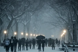 Tuyết rơi dày đặc tại New York ngày 7/1. (Nguồn: THX/TTXVN)