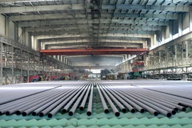 Ảnh minh họa. (Nguồn: THX/TTXVN)