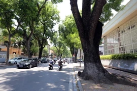 Hà Nội nắng nóng từ 35-37 độ C. (Ảnh: Danh Lam/TTXVN)