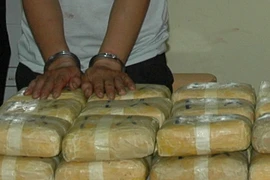 Tang vật ma túy trong một vụ án. Ảnh minh họa. (Nguồn: TTXVN)