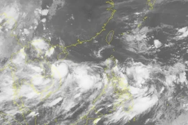 [Video] Chiều tối nay, bão số 4 đổ bộ vào Hà Tĩnh-Quảng Trị