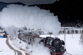 (Nguồn: newindianexpress.com)