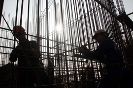 Ảnh minh họa. (Nguồn: TTXVN)