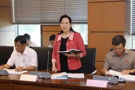 Đại biểu Quốc hội tỉnh Hải Dương Lê Thị Thủy phát biểu thảo luận. (Ảnh: Phương Hoa/TTXVN)